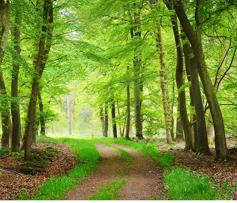 美國(guó)?？?_02_02