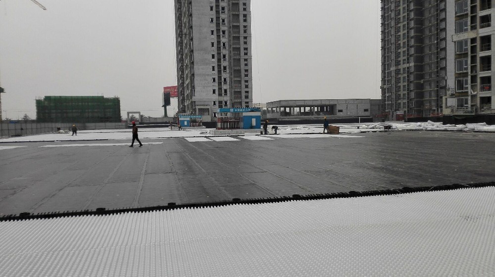 排水板的技術(shù)革新及市場動(dòng)態(tài)
